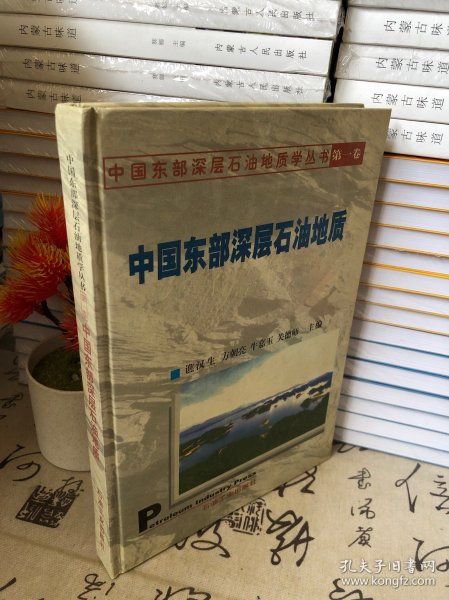 中国东部深层石油地质学丛书（第1卷）：中国东部深层石油地质