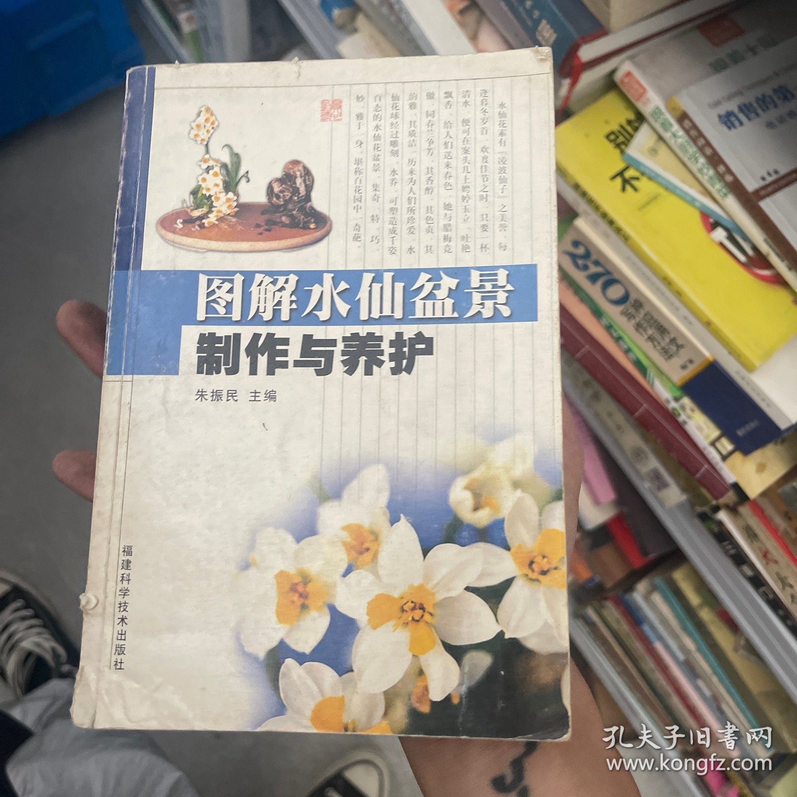 图解水仙盆景制作与养护