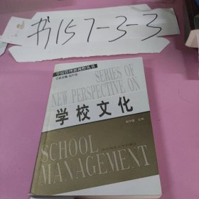 学校文化——普校管量新视野丛书