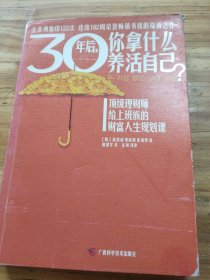 30年后，你拿什么养活自己？：上班族的财富人生规划课