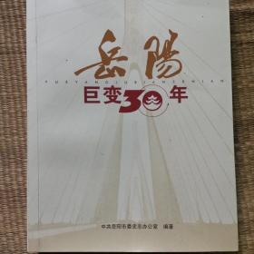 岳阳巨变30年