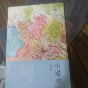 小翅膀