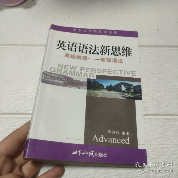 英语语法新思维高级教程：驾驭语法