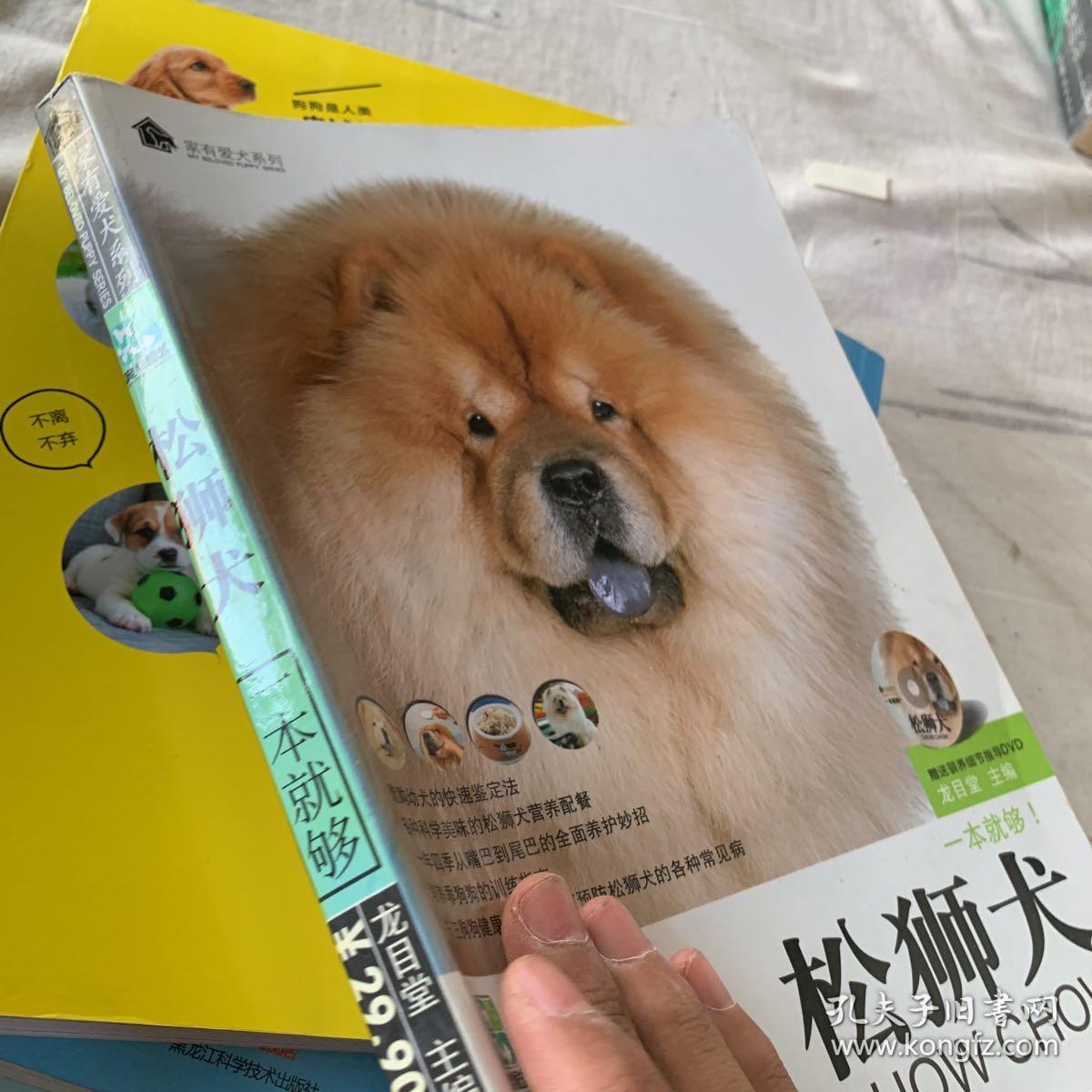 松狮犬