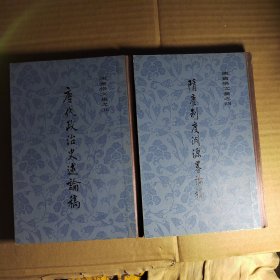 唐代政治史述论稿+唐代政治史述论稿：陈寅恪文集 之四 之五 【精装】2本合售