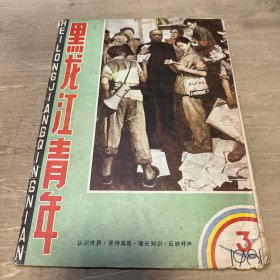 黑龙江青年 1981 03期