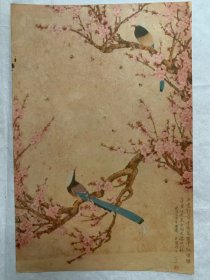 50年代老画片，于非闇《花鸟》