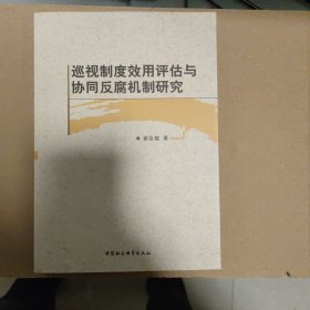 巡视制度效用评估与协同反腐机制研究