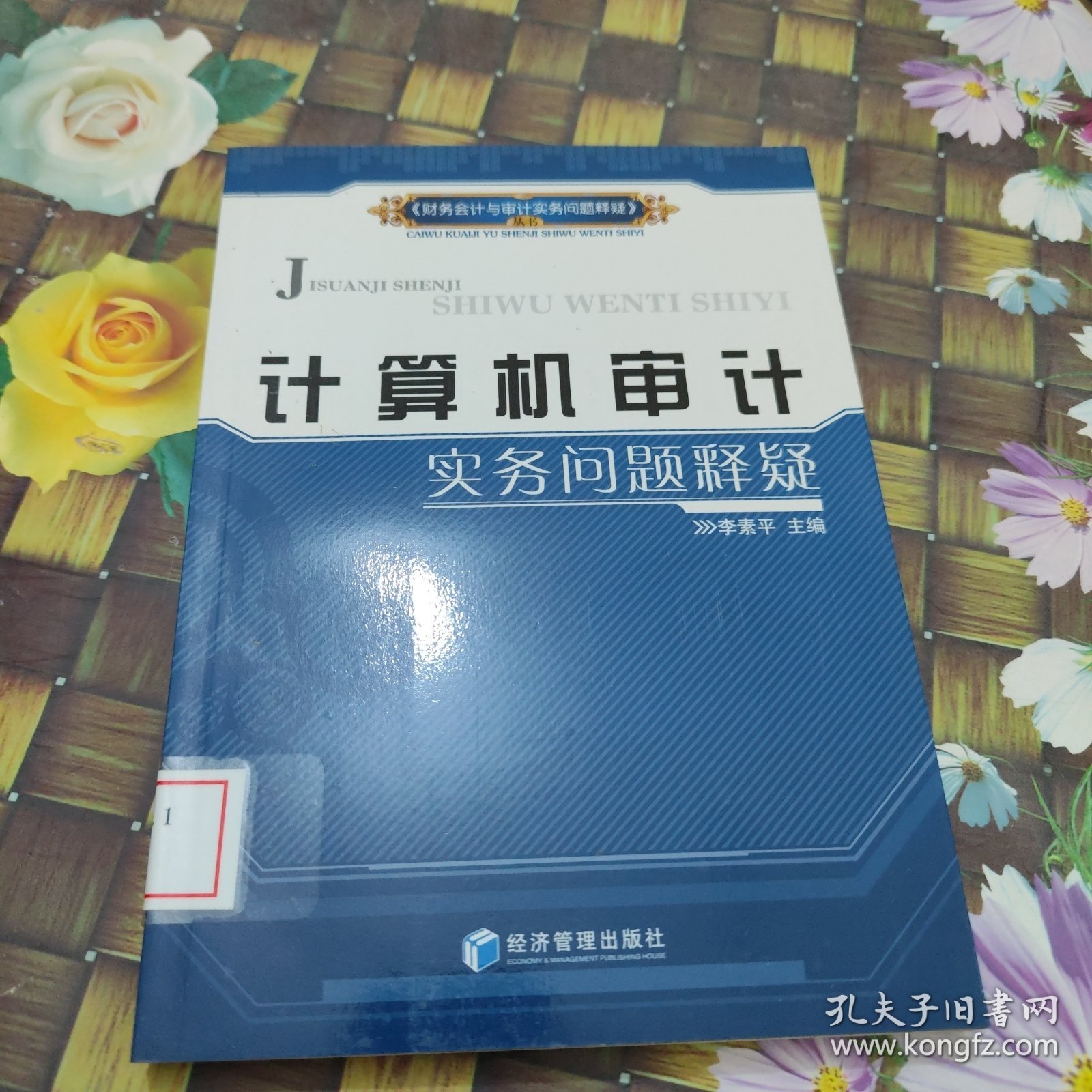 计算机审计实务问题释疑 馆藏正版无笔迹