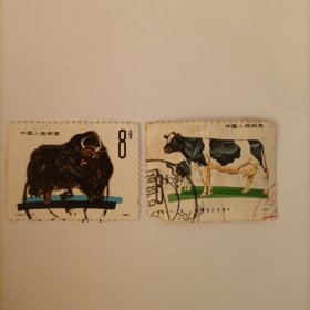 邮票1981T63畜牧牛信销票2张