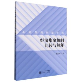 不同空间尺度下的经济集聚机制比较与解释