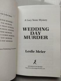 WEDDING DAY MURDER (A LUCY STONE MYSTERY)  结婚日新郎离奇死亡-----