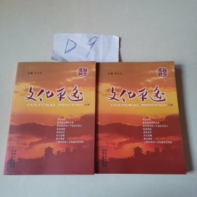 文化平遥（上下册）