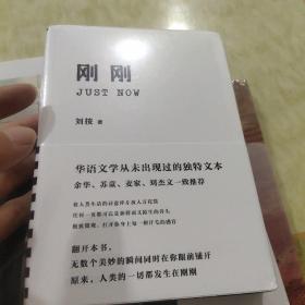 刚刚（余华和麦家大赞的文学奇书！华语文学从未出现过的独特文本。）