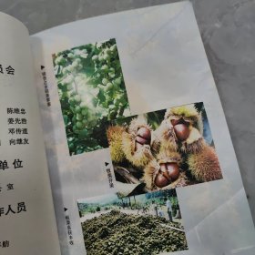 杨集乡志 (湖北省京山县)