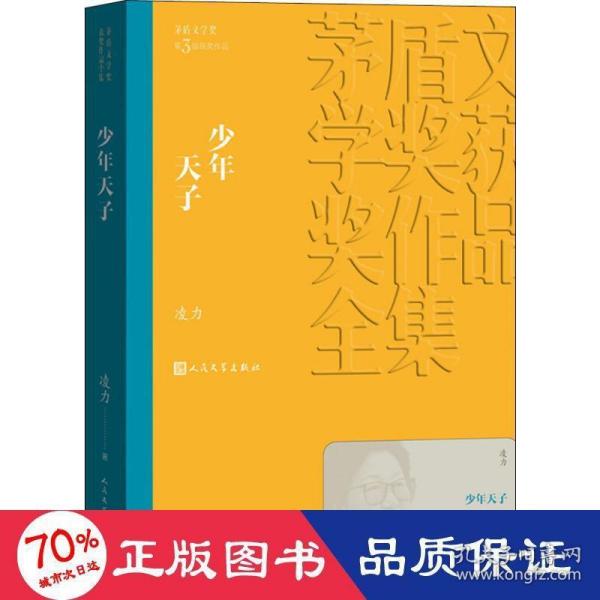 茅盾文学奖获奖作品全集：少年天子