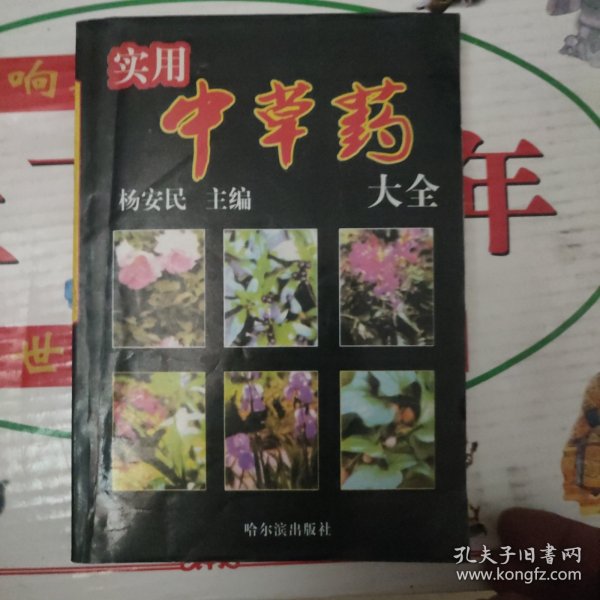 实用中草药大全