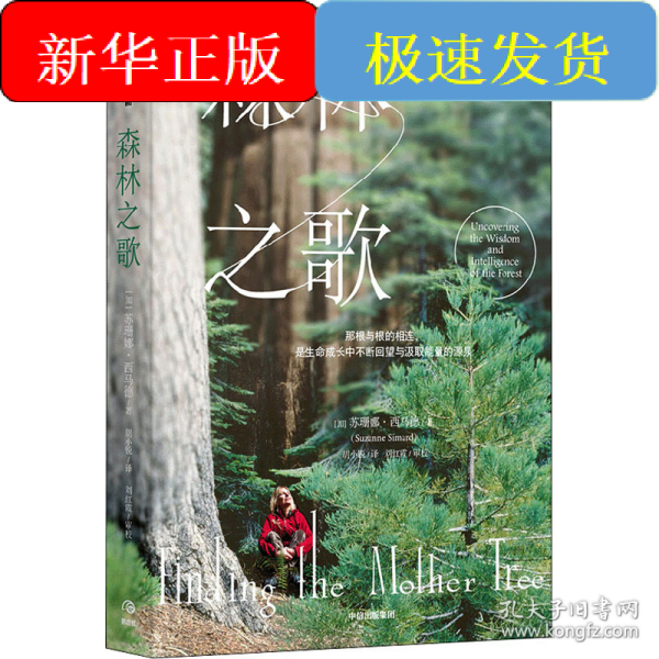 森林之歌