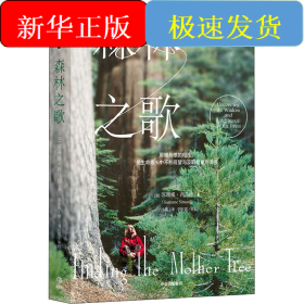 森林之歌