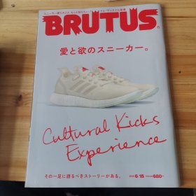 BRUTUS 日文杂志 2019 6 15