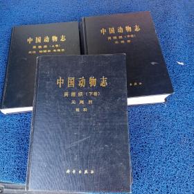 中国动物志 两栖纲 上中下共3册 正版二手精装本 科学出版社9787030249234