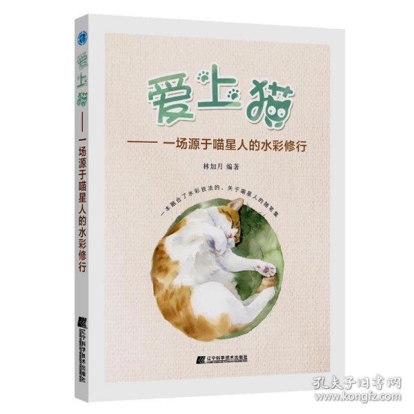 爱上猫——一场源于喵星人的水彩修行