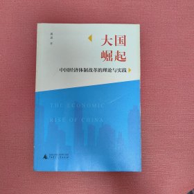 大国崛起——中国经济体制改革的理论与实践