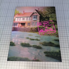 日版 思い出のマーニー×种田阳平展 オフィシャルガイド 回忆中的玛妮 ×种田阳平展 官方指南 米林宏昌监督吉卜力动画 记忆中的玛妮 资料集画集 种田阳平画集