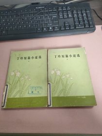 丁玲短篇小说选（上下）