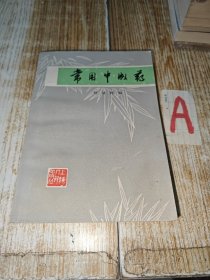 常用中成药（本书收集治疗常见病症的中成药504种，分为组成·剂型·服法·功效·适应症·解说·方源.）