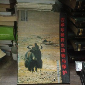西藏珍稀野生动物与保护