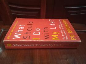 What Should I Do with My Life?：The True Story of People Who Answered the Ultimate Question