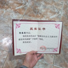 彭海清获奖证书