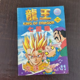 七颗龙珠动漫画册 龙王七龙珠 龙珠二代11