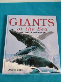 GIANTS OF THE SEA CREATURES OF FASCINATION