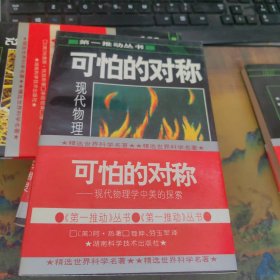 可怕的对称：现代物理学中美的探索