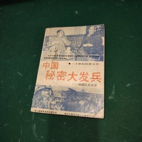 中国秘密大发兵:援越抗美实录