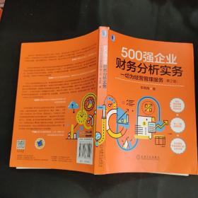 500强企业财务分析实务：一切为经营管理服务 第2版