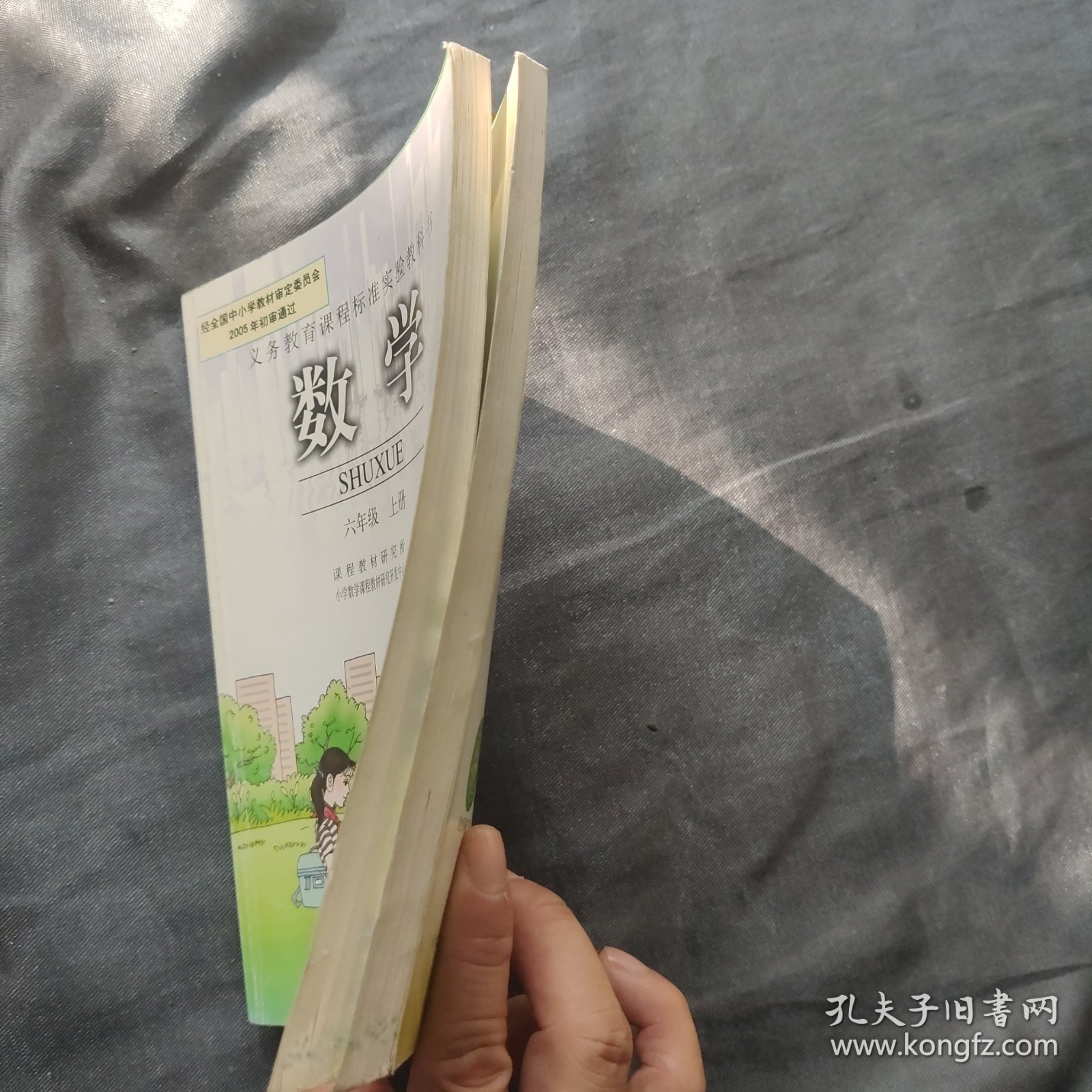 义务教育课程标准实验教科书数学六年级上下册