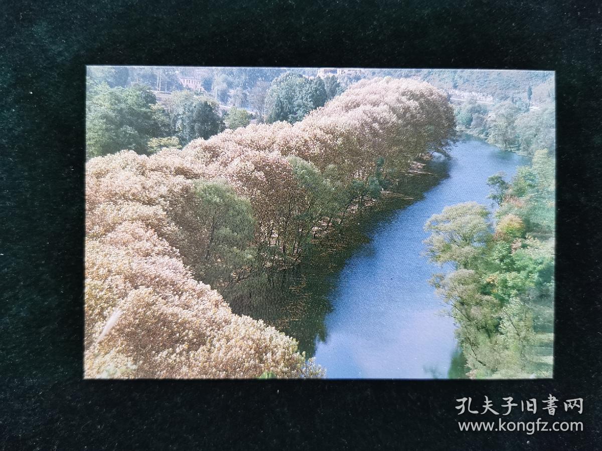 （明信片）花溪秋景 1张