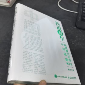 换道赛车：新能源汽车的中国道路（精装版）