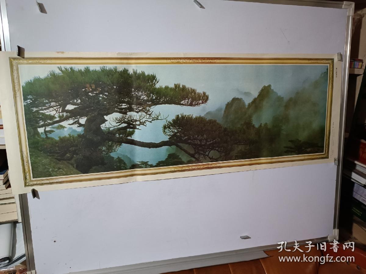 黄山卧龙松   年画  刘传炎  摄影