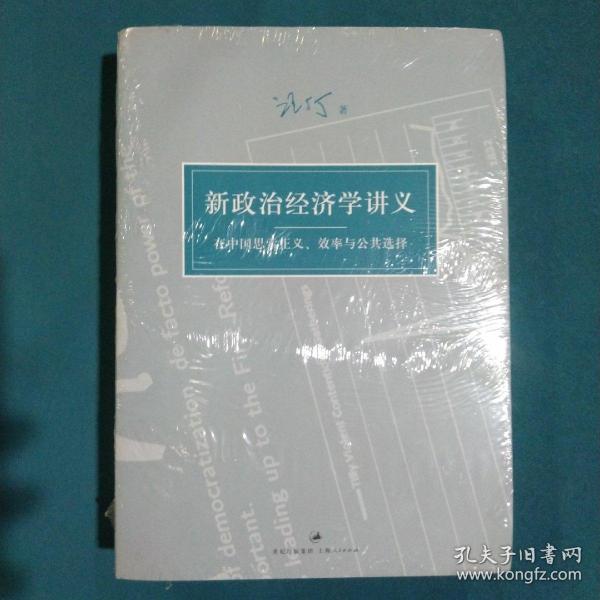 新政治经济学讲义：在中国思索正义、效率与公共选择