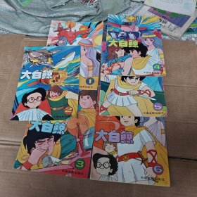大白鲸1-6