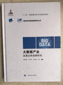 大数据产业发展总体战略研究(工程科技发展战略研究丛书)