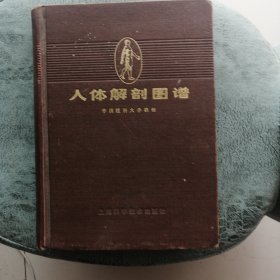 人体解剖学图谱
