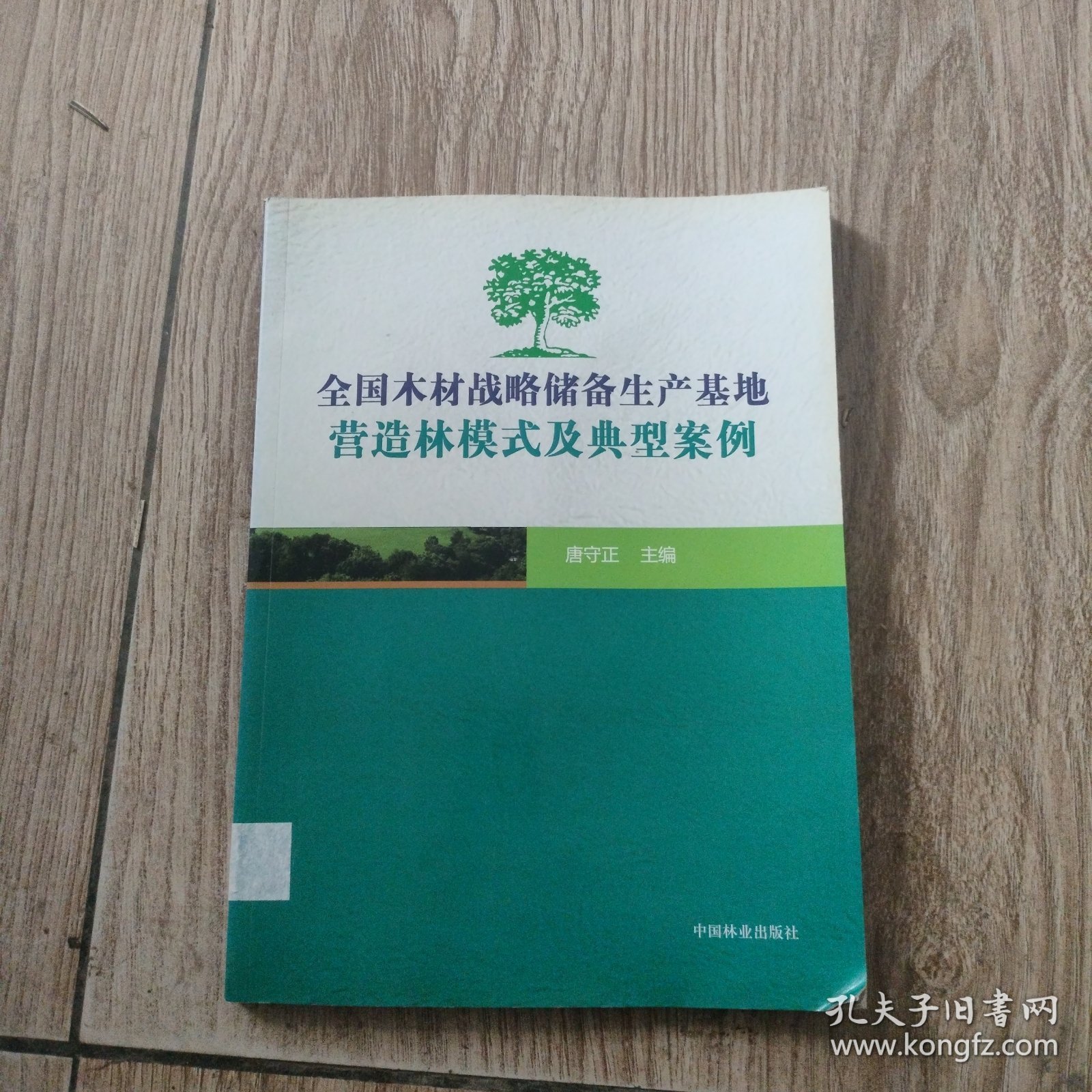 全国木材战略储备生产基地营造林模式及典型案例