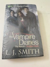 Vampire Diaries The Return Shadow Souls