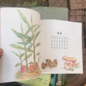 食育儿歌（调味篇1）/儿童食育系列之儿歌绘本