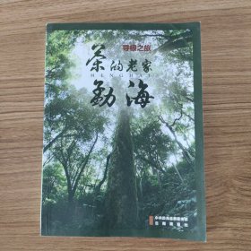 寻根之旅茶的老家勐海